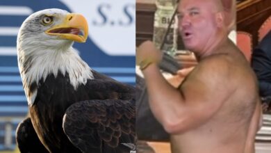 فضيحة مدوية تنهي عصر الصقر الإسباني وتؤجل طقوس النسر في لاتسيو